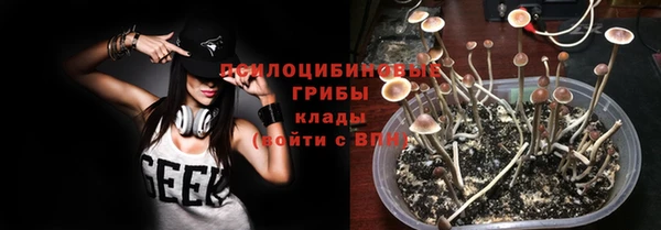 спиды Кукмор