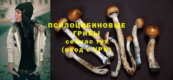 мет Новодвинск
