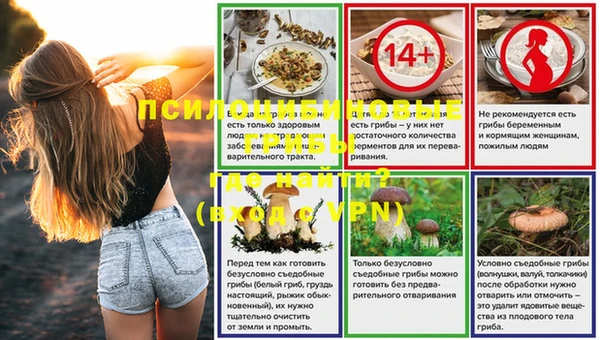 ешки Новокубанск