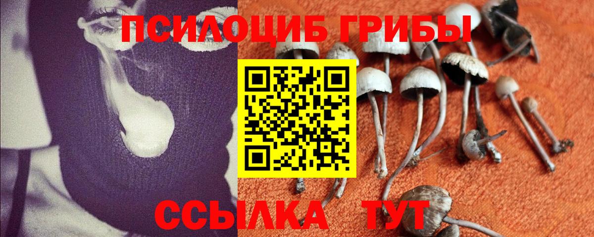 Галлюциногенные грибы GOLDEN TEACHER Котельники
