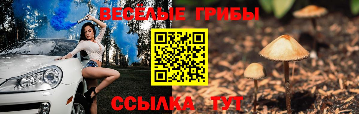 Псилоцибиновые грибы мицелий  Псилоцибиновые грибы Psilocybe  Котельники 