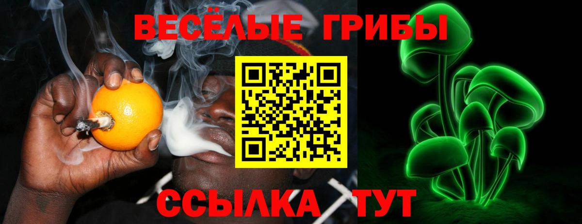 Котельники  Галлюциногенные грибы ЛСД  Вход с VPN 
